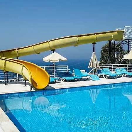 Family Belvedere