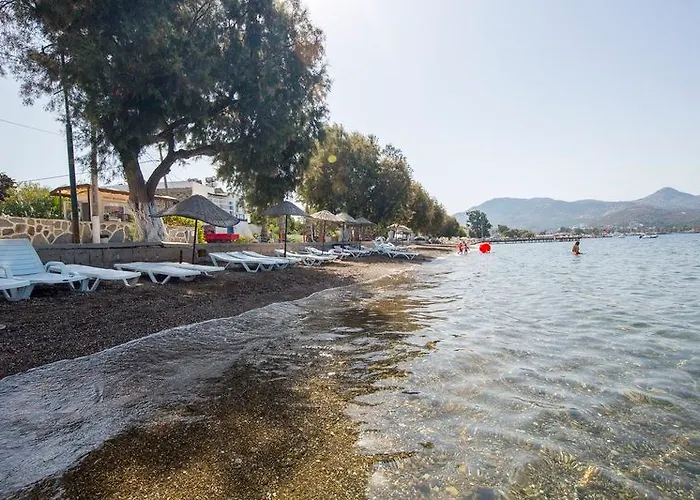 Family Belvedere Αλικαρνασσός